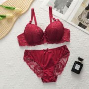Factory Direct Sale New Women's Sexy Comfortable Underwear Set Adjustable Steel Ring Lace Bra Panties Set - Image 10